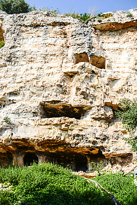 포토 JPG 해외이미지 과학 협상 사람 사람없음 역사 동굴 발굴 선사시대 고고학 해외포토 교육 비즈니스 파일형식 이미지허브