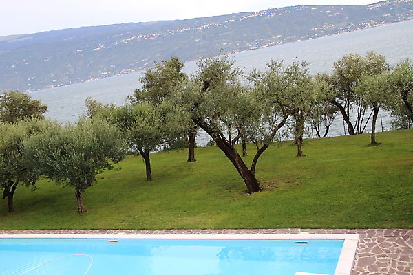 포토 JPG 해외이미지 라이프스타일 디자인 공원 백그라운드 건축양식 가족 자연 호텔 휴가 휴식 주택 풍경 잔디 사람없음 야외 초록색 물 여름 파란색 우주 정원 맑음 수영 고급 정상 갑판 빌라 휴양지 다이빙 지역 뒤뜰 진짜 스타일 해외포토 자연요소 식물 계절 공공시설 건축 컬러 컨셉 배_교통 관계 숙소 날씨 건물 생활 장소 수상스포츠 생태계 수중스포츠 파일형식 이미지허브