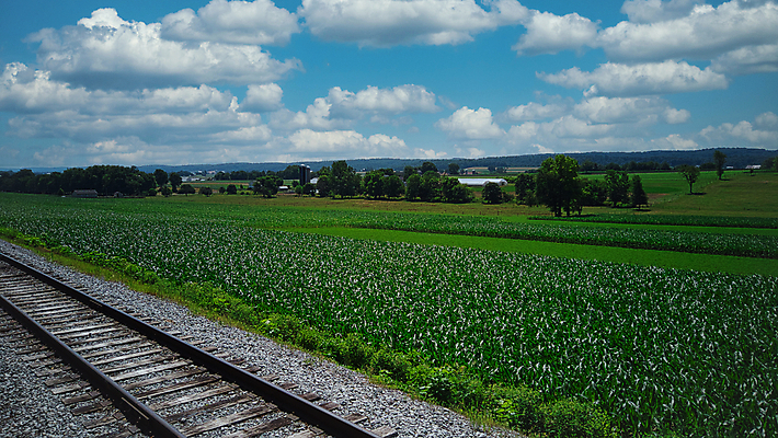 포토 JPG 해외이미지 식물 구름 도로 줄기 백그라운드 밭 농업 자연 하늘 파노라마 옥수수 씨앗 풍경 사람없음 여름 농작물 태양 농장 농경지 환경 봄 기차 수확 성장 흰색 시골 황금 큼 낟알 땅 시리얼 밀 귀 장면 밀짚 내추럴 선로 숙성 해외포토 자연요소 계절 산업 길 음식 육상교통 컬러 교통시설 대중교통 곡류 촬영기법 신체부위 짚 크기 생태계 파일형식 이미지허브