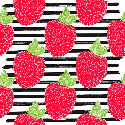 포토 JPG 해외이미지 잎 패턴 사람없음 빈티지 스케치 산딸기 손그림 가로줄 해외포토 식물 선 컨셉 무늬 과일 미술 파일형식 이미지허브