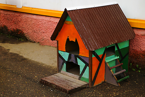 포토 JPG 해외이미지 동물 1 컨셉 건축양식 포유류 자연 휴식 거리 주택 털 사람없음 야외 목재 반려동물 고양이 희망 추위 도시 달콤 작음 타운 노숙자 돌봄 옛날 지원 헬프 혼자 해외포토 나무 건축 감정 재료 모션 건물 도움 맛 크기 생태계 파일형식 이미지허브