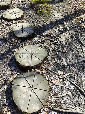 포토 JPG 해외이미지 나무 식물 디자인 여행 백그라운드 겨울 패턴 자국 자연 벽지 표면 추상 사람없음 야외 목재 갈색 걷기 하이킹 원형 거친 널 숲 명상 질감 진흙 내추럴 그런지 삼림지대 옛날 혼자 해외포토 도형 계절 컬러 무늬 재료 모션 레저 생태계 파일형식 이미지허브