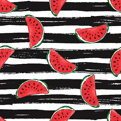 포토 JPG 해외이미지 패턴 단면 수박 사람없음 빈티지 스케치 질감 손그림 수박씨 가로줄 해외포토 선 컨셉 무늬 과일 미술 씨앗 파일형식 이미지허브