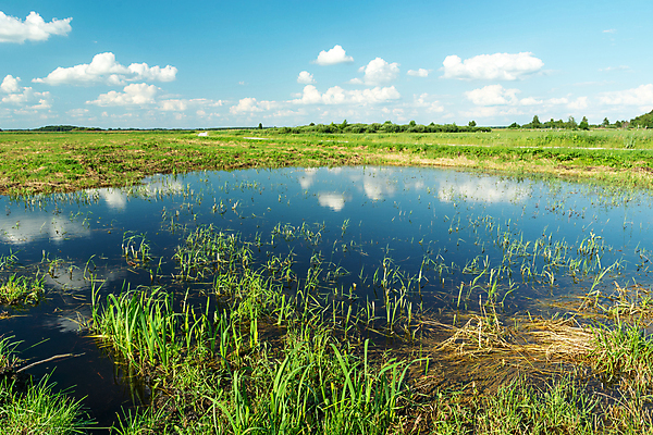 포토 JPG 해외이미지 구름 계절 호수 백그라운드 밭 자연 벽지 하늘 날씨 풍경 사람없음 야외 초록색 물 여름 파란색 햇빛 반사 환경 맑음 봄 거울 젖음 흰색 시골 땅 홍수 웅덩이 장면 수평선 해외포토 자연요소 컬러 농업 태양 자연재해 생태계 파일형식 이미지허브