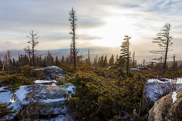 포토 JPG 해외이미지 나무 1 계절 여행 백그라운드 겨울 밭 자연 하늘 산 주택 사람없음 야외 초록색 빛 세계 햇빛 태양 일출 맑음 일몰 추위 시골 소나무 정상 숲 오두막 즐거움 장면 내추럴 해외포토 자연요소 식물 감정 컬러 농업 날씨 건물 노을 생태계 파일형식 이미지허브