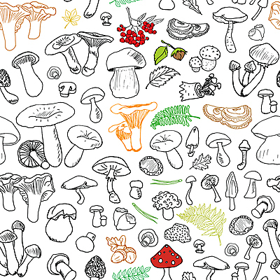 포토 JPG 해외이미지 식물 디자인 계절 음식 백그라운드 잎 패턴 다이어트 채소 일러스트 재료 자연 건강 요리 타이포그라피 사람없음 그래픽 장식 갈색 바구니 식사 버섯 견과류 수확 가을 신선 낙서 숲 스케치 수집 먹기 유기농 날것 윤곽 손그림 내추럴 고립 곰팡이 식용 엘리먼트 채식주의자 캡모자 비건 해외일러스트 문자 모자_잡화 웰빙 컬러 무늬 농업 모션 미술 생태계 채식 파일형식 이미지허브