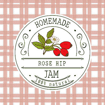 JPG 해외이미지 열매 분홍색 일러스트 사람없음 라벨 잼 허브 체크무늬 원형프레임 프레임일러스트 홈메이드 해외일러스트 식물 컬러 무늬 프레임 원형 소스_음식 만들기 파일형식 이미지허브