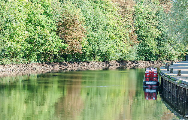 포토 JPG 해외이미지 나무 사람없음 가을 보트 해외포토 식물 계절 배_교통 파일형식 이미지허브