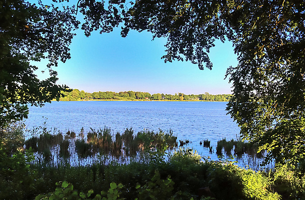 포토 JPG 해외이미지 나무 식물 공원 호수 파도 바다 여행 백그라운드 곡선 자연 하늘 파노라마 사람없음 야외 초록색 물 파란색 빛 강 햇빛 태양 뷰티 반사 일출 환경 고요 황혼 일몰 봄 흐름 농촌 시골 야간 숲 잔물결 수평선 플로리다 해외포토 자연요소 계절 공공시설 물결 선 컬러 컨셉 촬영기법 노을 미국 생태계 파일형식 이미지허브