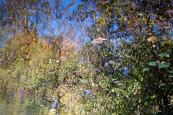 포토 JPG 해외이미지 나무 식물 계절 꽃 파도 백그라운드 이동 잎 패턴 오렌지 자연 벽지 하늘 추상 풍경 사람없음 야외 초록색 물 여름 파란색 컬러풀 뷰티 환경 봄 흐름 벚꽃 가을 흰색 신선 액체 수면 숲 내추럴 카피스페이스 해외포토 자연요소 바다 컬러 컨셉 무늬 과일 공백 생태계 파일형식 이미지허브