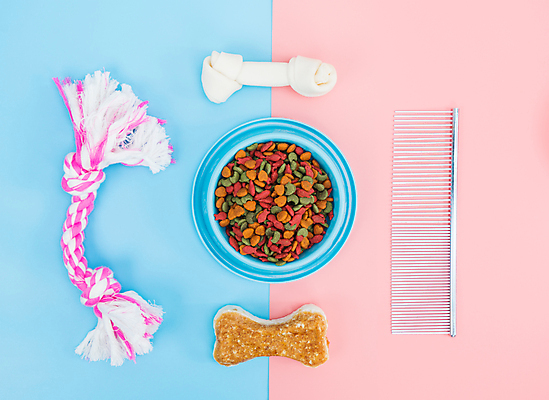 포토 JPG 해외이미지 동물 접시 음식 다이어트 뼈 건조 털 사람없음 물 반려동물 장난감 뷰티 식사 장비 코트 흰색 대접 붓 머리빗 최고 그룹 사발 닫기 개 강아지 먹이 자르기 먹기 오브젝트 유기농 몸단장 고립 기르기 더블 돌봄 영양분 칭찬 해외포토 자연요소 식기 웰빙 컬러 포유류 모션 건강 외투 미용용품 사기그릇 파일형식 이미지허브