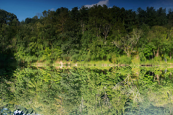 포토 JPG 해외이미지 나무 식물 계절 공원 여행 백그라운드 단풍 잎 패턴 자연 하늘 추상 휴식 오리 사람없음 야외 초록색 물 파란색 빛 뷰티 환경 맑음 침묵 봄 흐름 시골 숲 명상 반대 내추럴 삼림지대 환각 해외포토 자연요소 공공시설 컬러 컨셉 무늬 조류 날씨 소리 생태계 증상 파일형식 이미지허브