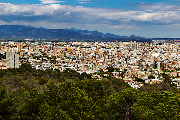 포토 JPG 해외이미지 나무 유럽 바다 섬 여행 하늘 휴가 파노라마 풍경 사람없음 건물 초록색 관광지 교회 마을 항구 맑음 도시 스페인 크루즈 지중해 포트 천연기념물 해외포토 식물 건축물 나라 컬러 배_교통 종교건축 교통시설 날씨 촬영기법 파일형식 이미지허브