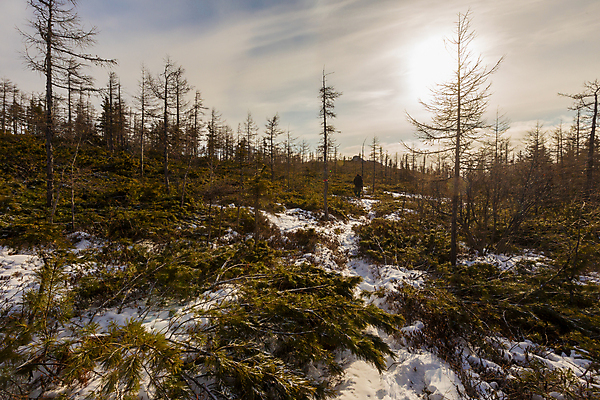 포토 JPG 해외이미지 나무 1 계절 여행 백그라운드 겨울 밭 자연 하늘 산 주택 사람없음 야외 초록색 빛 세계 햇빛 태양 일출 맑음 일몰 추위 시골 소나무 정상 숲 오두막 즐거움 장면 내추럴 해외포토 자연요소 식물 감정 컬러 농업 날씨 건물 노을 생태계 파일형식 이미지허브
