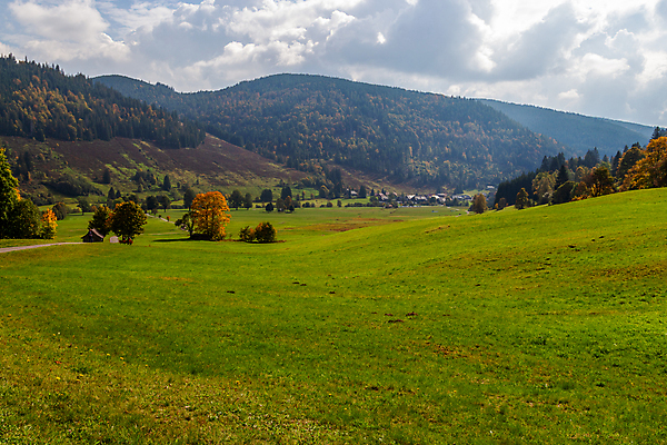 포토 JPG 해외이미지 나무 꽃 유럽 잎 자국 하늘 산 독일 사람없음 야외 목재 초록색 파란색 관광지 컬러풀 노란색 걷기 환경 고요 흰색 숲 땅 언덕 해외포토 식물 나라 컬러 여행 재료 모션 파일형식 이미지허브