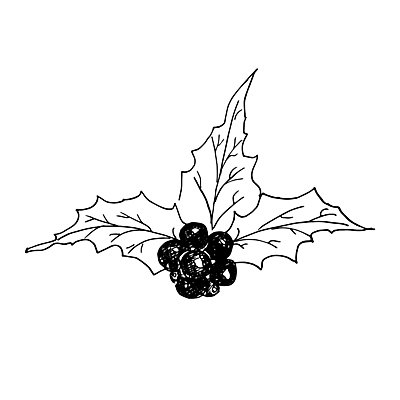 포토 JPG 해외이미지 나무 식물 전통 디자인 계절 열매 행복 실루엣 백그라운드 잎 크리스마스 겨울 과일 일러스트 휴가 새로움 새해 3 타이포그라피 사람없음 그래픽 장식 화환 수확 흰색 축하 낙서 인쇄 12월 스케치 연도 심볼 사인 그림 복고 윤곽 손그림 내추럴 고립 스크랩북 엘리먼트 해외일러스트 문자 기념일 꽃 감정 컬러 컨셉 농업 촬영기법 미술 날짜 파일형식 이미지허브