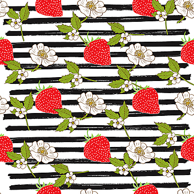 포토 JPG 해외이미지 패턴 딸기 사람없음 빈티지 스케치 손그림 가로줄 딸기꽃 딸기잎 해외포토 꽃 선 컨셉 잎 무늬 과일 미술 파일형식 이미지허브