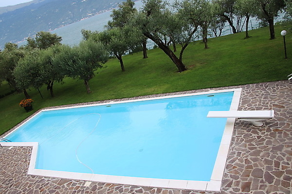 포토 JPG 해외이미지 라이프스타일 디자인 공원 백그라운드 건축양식 가족 자연 호텔 휴가 휴식 주택 풍경 잔디 사람없음 야외 초록색 물 여름 파란색 우주 정원 맑음 수영 고급 정상 갑판 빌라 휴양지 다이빙 지역 뒤뜰 진짜 스타일 해외포토 자연요소 식물 계절 공공시설 건축 컬러 컨셉 배_교통 관계 숙소 날씨 건물 생활 장소 수상스포츠 생태계 수중스포츠 파일형식 이미지허브