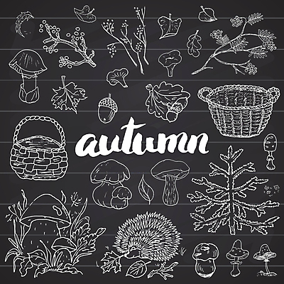 JPG 해외이미지 나무 단풍 일러스트 나뭇잎 타이포그라피 사람없음 바구니 버섯 나뭇가지 풀잎 낙서 사과 그림 도토리 고슴도치 해외일러스트 식물 문자 잎 과일 포유류 견과류 풀_식물 파일형식 이미지허브