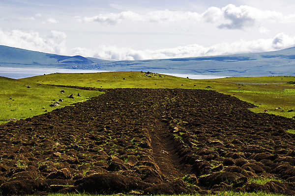 포토 JPG 해외이미지 식물 유럽 산업 음식 밭 농업 자연 하늘 건조 파노라마 사람없음 농작물 뷰티 농장 농경지 노란색 평화 환경 새벽 수확 안개 시골 황금 건초더미 볏짚 땅 밀 수집 유기농 롤 밀짚 평야 많음 해외포토 자연요소 웰빙 나라 컬러 컨셉 날씨 곡류 촬영기법 건초 짚 생태계 파일형식 더미 이미지허브