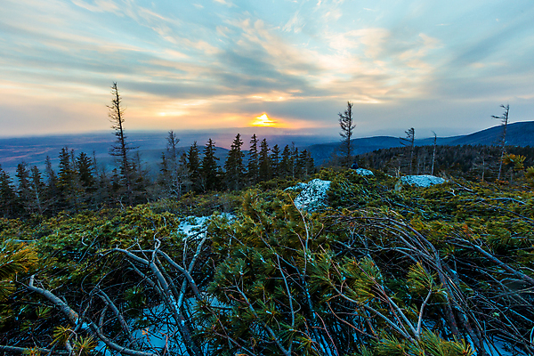 포토 JPG 해외이미지 나무 1 계절 여행 백그라운드 겨울 밭 자연 하늘 산 주택 사람없음 야외 초록색 빛 세계 햇빛 태양 일출 맑음 일몰 추위 시골 소나무 정상 숲 오두막 즐거움 장면 내추럴 해외포토 자연요소 식물 감정 컬러 농업 날씨 건물 노을 생태계 파일형식 이미지허브