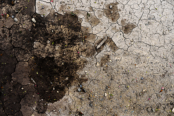 포토 JPG 해외이미지 지구 모래 백그라운드 패턴 자연 표면 날씨 추상 건조 풍경 사람없음 여름 글로벌 갈색 환경 흙 손상 사막 시골 죽음 뜨거움 거친 변화 균열 땅 질감 먼지 점토 지역 진흙 가뭄 문제 지구온난화 다리찢기 내추럴 그런지 깨짐 땅바닥 해외포토 계절 컬러 컨셉 무늬 모션 바닥 생태계 기후변화 파일형식 이미지허브