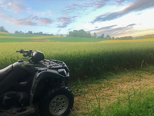 포토 JPG 해외이미지 행복 도로 음식 스포츠 여행 밭 농업 재료 교통시설 자연 하늘 산 건강 풍경 사람없음 야외 초록색 여름 농장 환경 침묵 장비 시골 바퀴 승차 지역 모터 해외포토 계절 감정 산업 길 컬러 교통 모션 소리 시설 생태계 파일형식 이미지허브