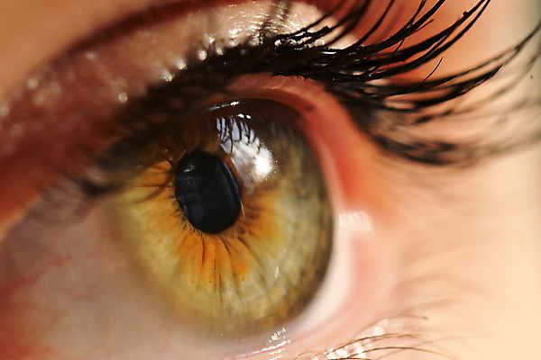 포토 JPG 해외이미지 백인 모델 1 학생 응시 여자 얼굴 백그라운드 추상 건강 한명 사람 성인 파란색 뷰티 유행 흰색 눈썹 속눈썹 피부 마스카라 비전 붓꽃 안과 해외포토 서양인 시선 꽃 컬러 무늬 병원 신체부위 화장품 파일형식 이미지허브