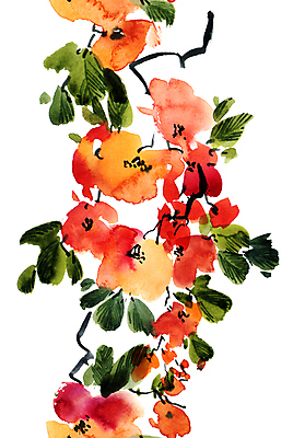 JPG 해외이미지 식물 꽃 일러스트 붓터치 사람없음 뷰티 그림 번짐 해외일러스트 파일형식 효과 이미지허브