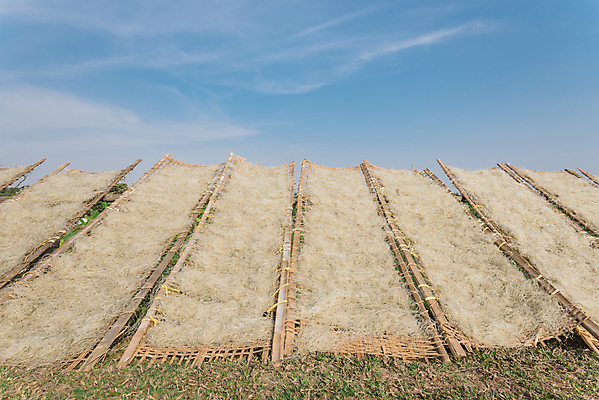 포토 JPG 해외이미지 접시 문화 선 음식 백그라운드 다이어트 채소 재료 자연 밥 프레임 파스타 요리 동양인 사람없음 야외 목재 울타리 노란색 마을 중국 봄 흰색 면 굽기 대나무 국수 유기농 날것 베트남 밀가루 내추럴 번 생식 채식주의자 탄수화물 핸드메이드 해외포토 나무 식기 웰빙 계절 아시아 빵 컬러 서양음식 건강 인종 담장 동남아시아 면류 가루 구이 생태계 채식 파일형식 이미지허브