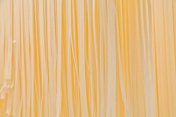포토 JPG 해외이미지 전통 디자인 음식 조각 백그라운드 패턴 다이어트 재료 벽지 건조 파스타 건강 스파게티 요리 사람없음 노란색 이탈리아 면 맛 밀 먹기 타일 묘사 국수 준비 유기농 질감 날것 밀가루 레시피 내추럴 마카로니 생식 엘리먼트 채식주의자 펜네 해외포토 웰빙 유럽 컬러 컨셉 무늬 모션 곡류 서양음식 면류 가루 채식 파스타면 파일형식 이미지허브