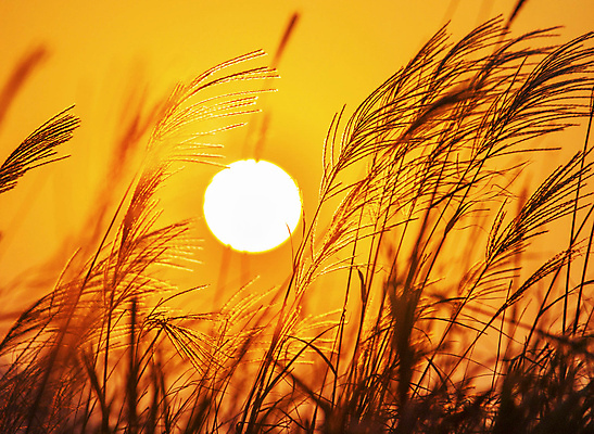 포토 JPG 해외이미지 여행 자연 풍경 사람없음 야외 중국 해외포토 아시아 생태계 파일형식 이미지허브