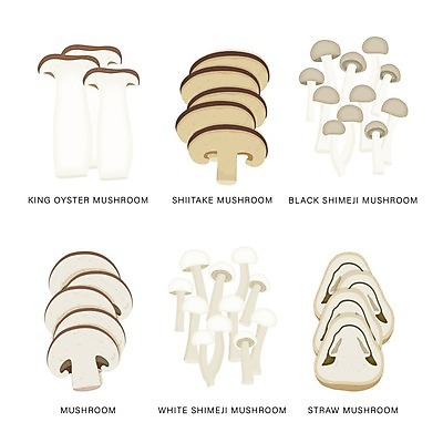 EPS 해외이미지 일러스트 식재료 단면 사람없음 흰배경 슬라이스 양송이 팽이버섯 표고버섯 느타리버섯 새송이버섯 해외일러스트 백그라운드 버섯 흰색 파일형식 벡터 이미지허브