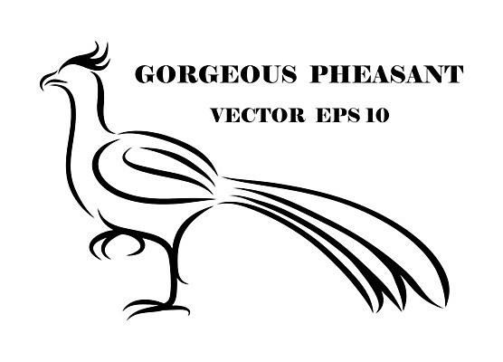 EPS 해외이미지 동물 디자인 실루엣 야생동물 선 백그라운드 컨셉 날개 일러스트 비즈니스 자연 조류 추상 동물원 미술 그래픽 검은색 자유 수확 흰색 신용카드 플랫 공작 숲 스케치 문신 심볼 깃털 사인 그림 꼬리 사냥 상업 꿩 고립 봉황 타격 활자 브랜딩 해외일러스트 컬러 무늬 농업 모션 문화예술 촬영기법 금융 생태계 활자판 파일형식 벡터 이미지허브