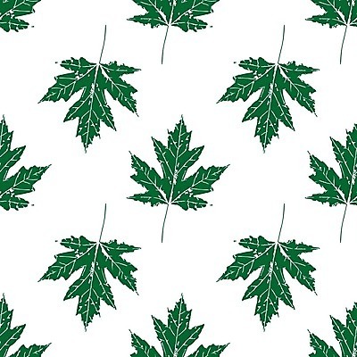 EPS 해외이미지 모양 나무 식물 디자인 계절 실루엣 종이 백그라운드 단풍 잎 캐나다 패턴 일러스트 자연 추상 미술 그래픽 장식 여름 정원 수확 가을 직물 신선 숲 인쇄 질감 내추럴 바이오 생태학 엘리먼트 이국적 각인 해외일러스트 교육 북아메리카 무늬 농업 문화예술 촬영기법 생태계 파일형식 벡터 이미지허브