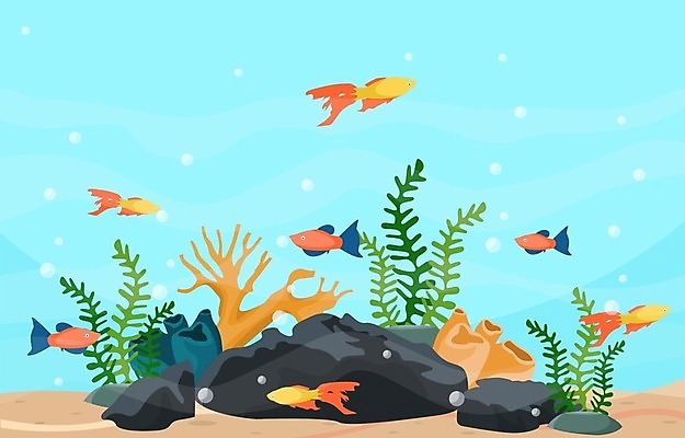 EPS 해외이미지 식물 동물 디자인 모래 파도 바다 백그라운드 컨셉 일러스트 자연 불가사리 항해 어류 미술 취미 내부 장식 물 반려동물 컬러풀 환경 상점 수중 수영 거품 바위 해조류 산호 작음 수집 다이빙 탱크 암초 수족관 동물상 민물 이국적 해외일러스트 자연요소 컬러 배_교통 문화예술 극피동물 조형물 수중동물 돌_바위 수상스포츠 해양식물 자포동물 크기 생태계 수중스포츠 파일형식 벡터 이미지허브