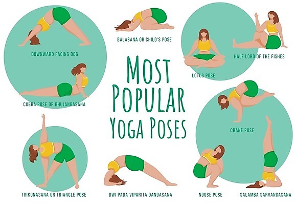 EPS 해외이미지 전신 여자 일러스트 여러명 성인 운동복 스트레칭 요가자세 얼굴없음 성인여자만 해외일러스트 옷 포즈 다수 요가 사람 운동 여자만 성인만 파일형식 벡터 이미지허브