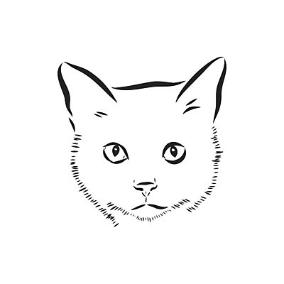 EPS 해외이미지 동물 디자인 응시 얼굴 선 백그라운드 일러스트 포유류 자연 수염 미술 그래픽 반려동물 머리 검은색 고양이 수확 흰색 신용카드 인쇄 만화 스케치 심볼 그림 코 복고 윤곽 귀 솜털 고립 기르기 스타일 해외일러스트 시선 컬러 농업 문화예술 신체부위 금융 생태계 돌봄 파일형식 벡터 이미지허브