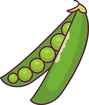 EPS 해외이미지 식물 음식 백그라운드 농업 다이어트 채소 일러스트 재료 자연 콩 건강 씨앗 그래픽 초록색 웹 흰색 신선 오픈 클래식 심볼 유기농 완두콩 내추럴 고립 꼬투리 채식주의자 해외일러스트 웰빙 산업 컬러 컨셉 인터넷 곡류 생태계 채식 파일형식 벡터 이미지허브