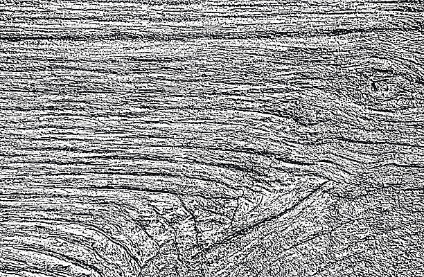 EPS 해외이미지 나무 벽 백그라운드 패턴 일러스트 자연 벽지 탁자 표면 날씨 추상 바닥 목재 장식 울타리 검은색 고통 수확 껍질 흰색 시골 판넬 거친 널 낟알 고민 질감 복고 덮기 나무껍질 잡동사니 내추럴 그런지 다락방 수목 옛날 해외일러스트 식물 감정 컬러 가구 무늬 농업 재료 모션 담장 생태계 파일형식 벡터 이미지허브