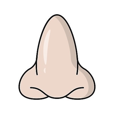 EPS 해외이미지 모양 디자인 얼굴 선 과학 신체 일러스트 부분 해부 건강 사람 픽토그램 약 오르간 호흡 플라스틱 심볼 사인 코 냄새 윤곽 외과 고립 돌봄 해외일러스트 의학 모션 재질 병원 신체부위 건반악기 파일형식 벡터 악기 건반 음악 문화예술 이미지허브