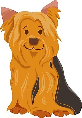 EPS 해외이미지 클립아트 동물 캐릭터 긴머리 디자인 행복 일러스트 앉기 그래픽 반려동물 갈색 노란색 검은색 플랫 개 만화 요크셔테리어 테리어 그림 코 송곳니 기르기 유래 해외일러스트 일러캐릭터 헤어스타일 감정 컬러 포유류 모션 신체부위 치아 돌봄 파일형식 벡터 이미지허브