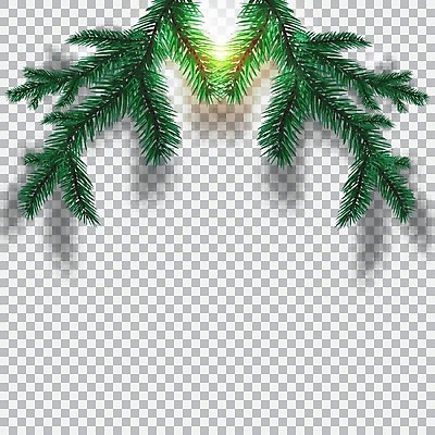 EPS 해외이미지 나무 식물 전통 디자인 실루엣 백그라운드 크리스마스 일러스트 자연 휴가 새로움 기념 프레임 세포 장식 초록색 파란색 축제 공백 나뭇가지 축하 인사 소나무 신용카드 숲 연도 심볼 뼈대 상록수 침엽수 전나무 고립 가문비나무 현실 해외일러스트 기념일 컬러 컨셉 촬영기법 금융 예절 생태계 파일형식 벡터 이미지허브