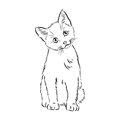 EPS 해외이미지 동물 손 디자인 응시 얼굴 선 새끼 백그라운드 일러스트 포유류 발 자연 털 미술 앉기 그래픽 반려동물 머리 고양이 흰색 아기 낙서 스케치 그림 코 꼬리 윤곽 귀 솜털 고립 총구 현실 해외일러스트 시선 컬러 모션 문화예술 사람 신체부위 생태계 파일형식 벡터 이미지허브