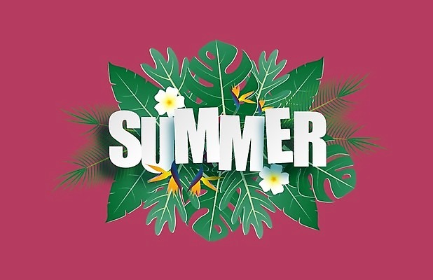 EPS 해외이미지 식물 템플릿 디자인 배너 계절 꽃 포스터 종이 백그라운드 컨셉 잎 꽃무늬 일러스트 텍스트 자연 추상 휴가 손바닥 미술 그래픽 장식 빨간색 초록색 컬러풀 라벨 세일 상점 흰색 인사 신용카드 자르기 종이접기 승진 떠남 마지막 특별함 스타일 제의 해외일러스트 손 컬러 무늬 모션 문화예술 프레임 금융 예절 생태계 접기 파일형식 벡터 이미지허브