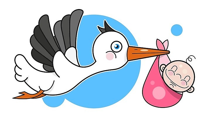 EPS 해외이미지 동물캐릭터 일러스트 한명 아기 환영 황새 해외일러스트 일러캐릭터 동물 캐릭터 1 조류 사람 파일형식 벡터 이미지허브