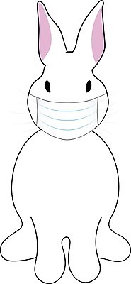 EPS 해외이미지 동물 캐릭터 디자인 얼굴 야생동물 백그라운드 컨셉 일러스트 자연 휴가 부활절 건강 병원 가면 안전 흰색 토끼 수술 바이러스 보호 질병 위험 일회용 만화 심볼 그림 예방 고립 돌봄 엘리먼트 위생관리 인플루엔자 전염병 해외일러스트 일러캐릭터 기념일 컬러 포유류 의학 모션 관리 신체부위 치료 반려동물 생태계 파일형식 벡터 이미지허브