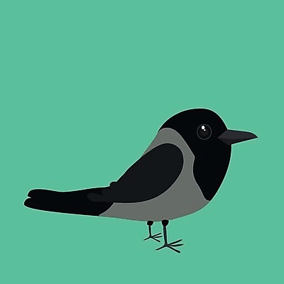 EPS 해외이미지 동물 일러스트 자연 조류 검은색 만화 도둑 깃털 코믹 까마귀 동물상 해외일러스트 컬러 조형물 범죄인 생태계 파일형식 벡터 이미지허브