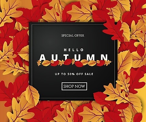 EPS 해외이미지 디자인 단풍 낙엽 일러스트 사각프레임 타이포그라피 사람없음 쇼핑 세일 검은색 주황색 반값 해외일러스트 문자 컬러 잎 프레임 사각형 파일형식 벡터 이미지허브