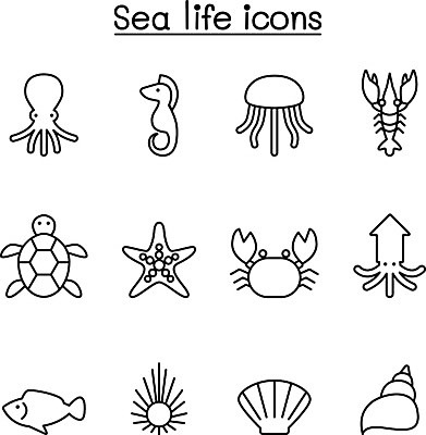 EPS 해외이미지 클립아트 모양 동물 디자인 실루엣 선 음식 바다 백그라운드 컨셉 패턴 일러스트 불가사리 새우 어류 그래픽 물 세트 픽토그램 게 껍질 거북이 만화 수집 심볼 해산물 오징어 윤곽 문어 연어 어장 내추럴 고립 깊이 얇은 스타일 미니멀 해외일러스트 자연요소 무늬 파충류 극피동물 연체동물 촬영기법 갑각류 수중동물 파일형식 벡터 이미지허브